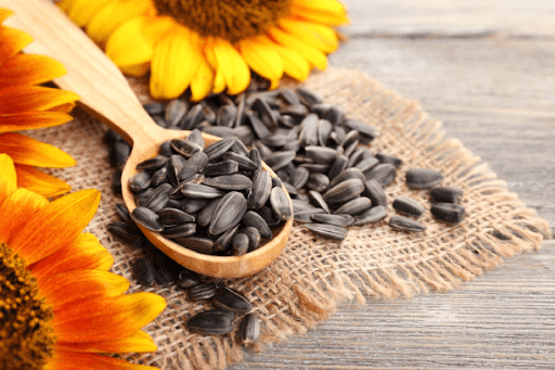 Jabal Alqush Sunflower Seeds With Coconut Flavor